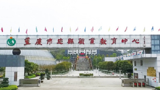 成都哪些职业学院有厨师专业(成都有哪些职业技术学校)图3