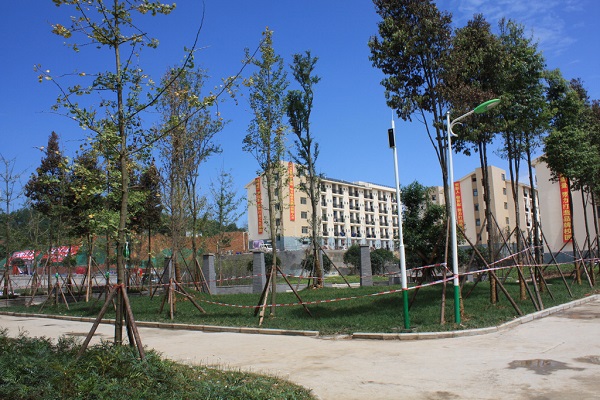 青白江区大弯中学（青白江区大弯中学录取分数线）图1