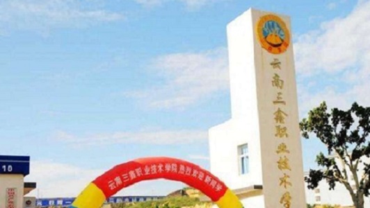 职高对口升学分数线（职高的对口升学）