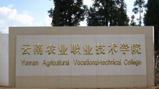 成都44中学是中专吗如何选择