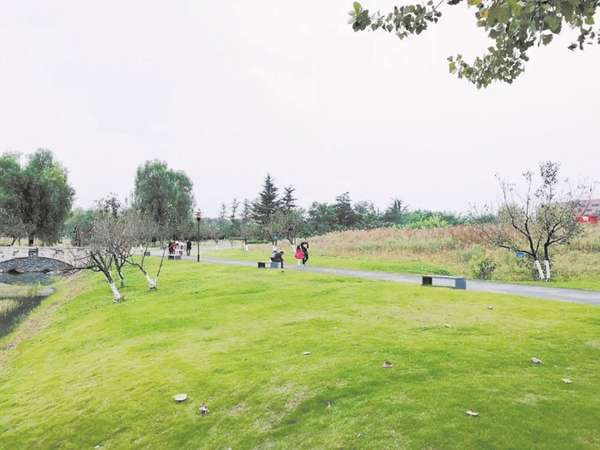 黑龙江大专有哪些学院（黑龙江大专有哪些学院呢）