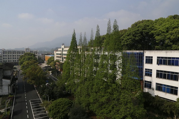 中专可以考大专吗