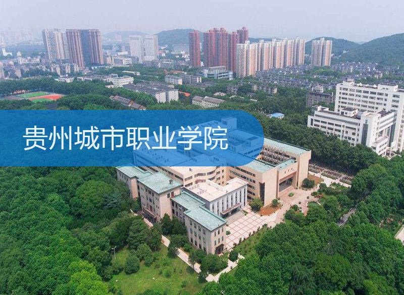 报考大专学历需要什么条件（报考大专的基本要求）图2