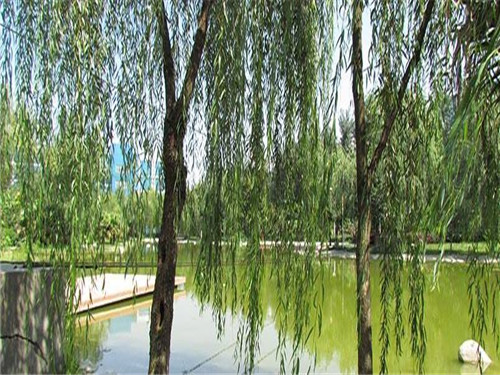 成都公立职高学校排名前十百度网(成都公立职高学校排名前十)图3