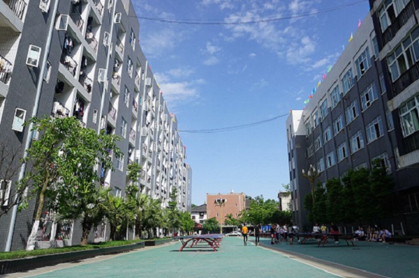 四川高考分数查询（四川高考分数查询网站）图3