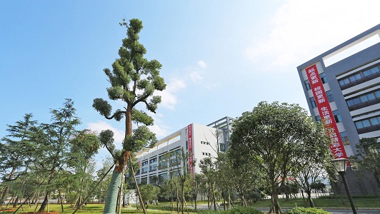 四川职业学校排名（四川职业院校怎么选择）