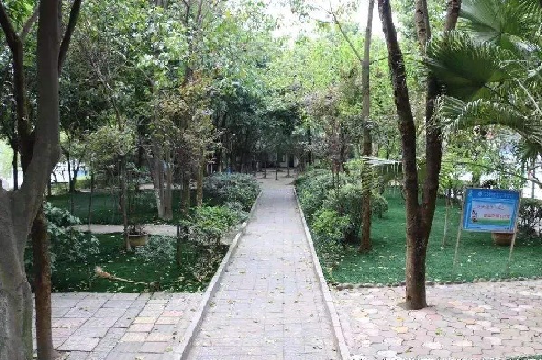 重庆职高学校排名前十（重庆职高学校排名前十有哪些呢）图2