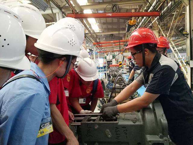 单招成绩查询（单招成绩查询系统入口2021）图1