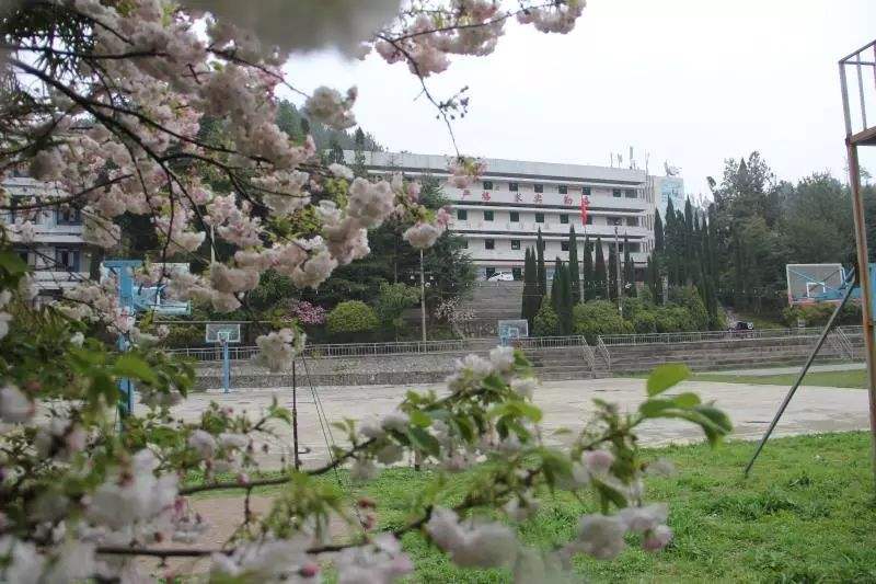 四川中专学校排名及分数线表格查询,四川中专学校录取分数线汇总图2