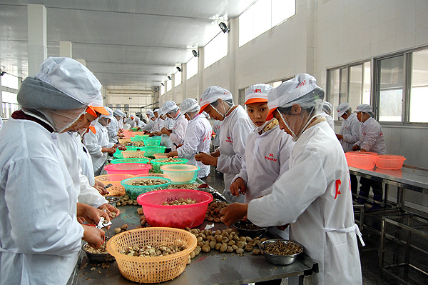 西北师范知行学院（西北师范知行学院与兰石化合并）