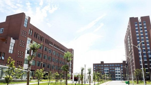 凉山中专升学考试总分多少