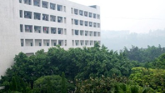 上海杨思高级中学（上海杨思高级中学本科录取率）