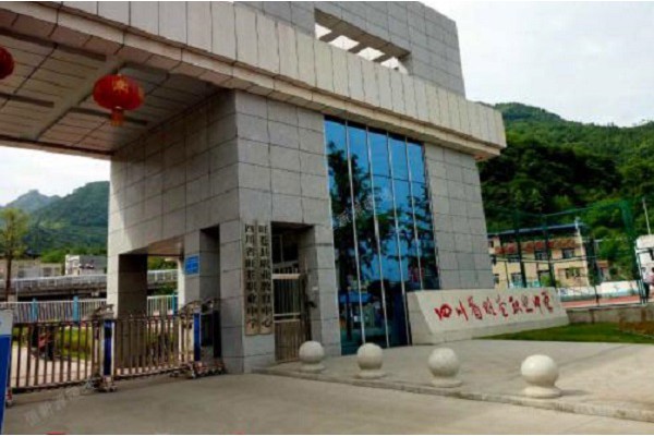 成都职高招生简章官网查询网(成都公立高职学校有哪些官网)图1