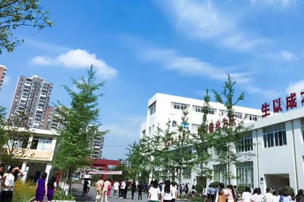 青岛九中分校（青岛九中分校简介）