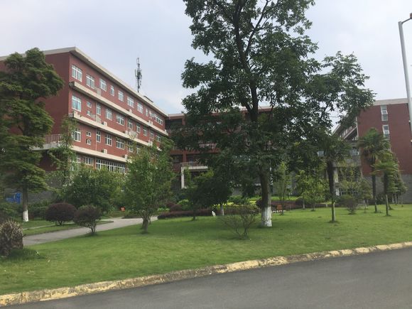 娄底技师学校（娄底技师学校读三年去干嘛）
