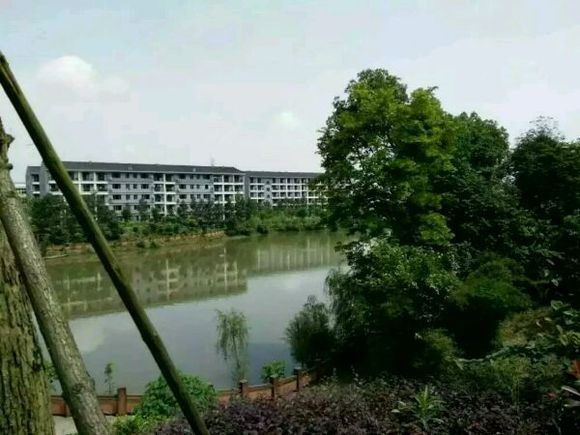 成都职高招生简章官网查询网(成都公立高职学校有哪些官网)图2