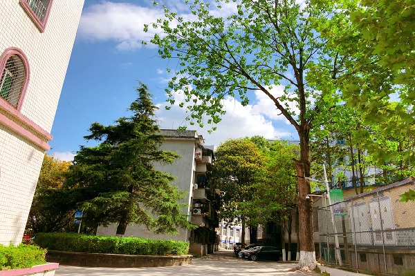 浙江大学农村专项计划2022（浙江大学农村专项计划2022是怎么样的呢？）