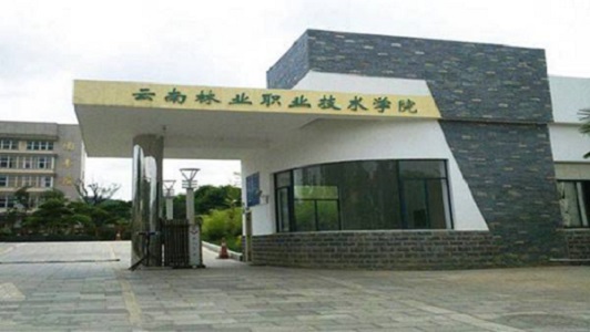 四川中专学历查询网站官方（快速查询四川中专学历的官方网站）图3