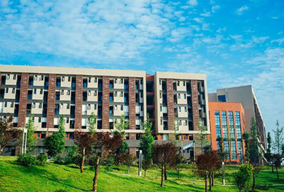 桃江职业中专学校能考哪些大学（桃江县职业中专一职高有哪些专业）