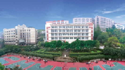 成都的职业高中有哪些学校招生(成都职业高中学校有哪些比较好)图3