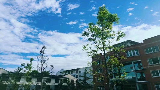 成都财贸职业高级学校(成都财贸职业技术学校地址)