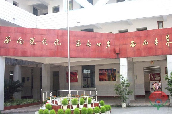 成都公办中专职业技术学院有哪些(成都职业技术学院中专有哪些专业)图1
