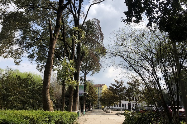 四川内江市有哪些中专学校？图1