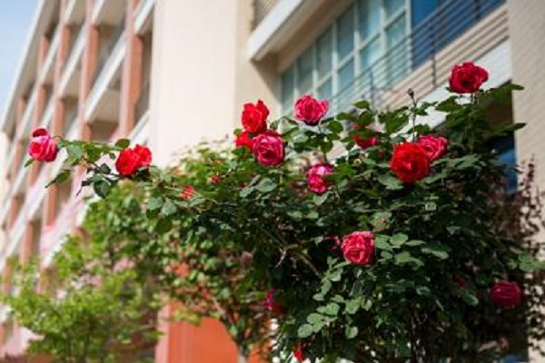 北京化妆学校（北京如何选择合适的学校呢）