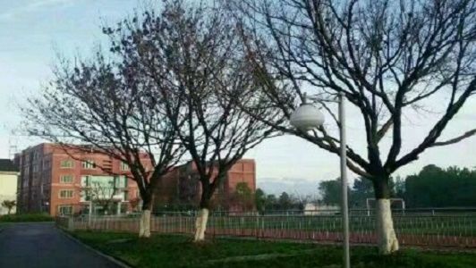 金堂实验中学（金堂实验中学教师名单）