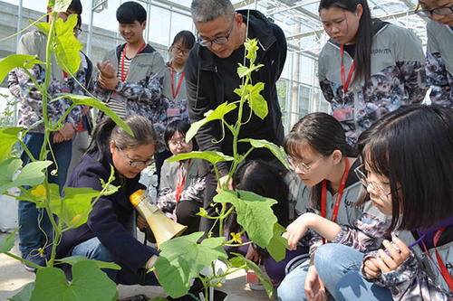 成都职业技术学校招生网官方(成都职业技术学校2023年招生官网)图2
