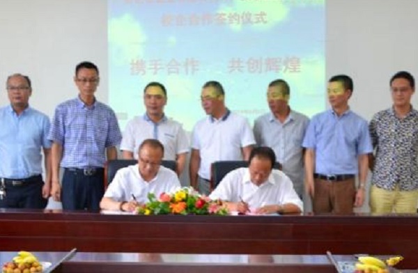 升学历的正规机构有哪些(正规的学历提升培训机构)