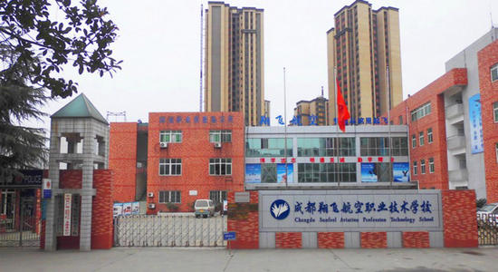 南充中专是职高吗怎么选择？图2
