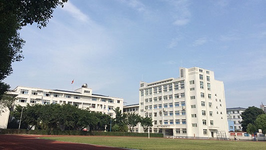 成都中专学生三年级下乡经历分享,成都中专学生三年级下乡的收获和体会图1
