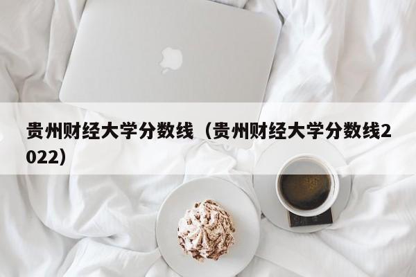 贵州财经大学分数线（贵州财经大学分数线2022）图1