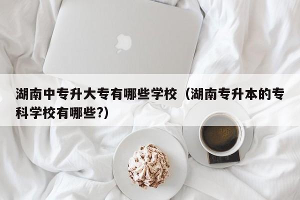 湖南中专升大专有哪些学校（湖南专升本的专科学校有哪些?）图2