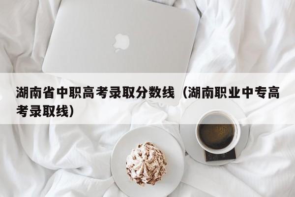 湖南省中职高考录取分数线（湖南职业中专高考录取线）图1
