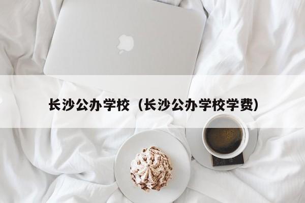 长沙公办学校（长沙公办学校学费）