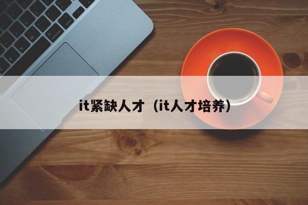 it紧缺人才（it人才培养）图3