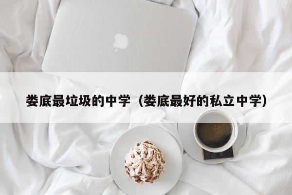 娄底最垃圾的中学（娄底最好的私立中学）