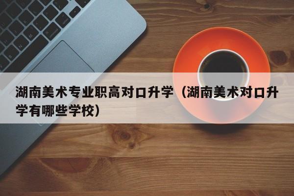 湖南美术专业职高对口升学（湖南美术对口升学有哪些学校）