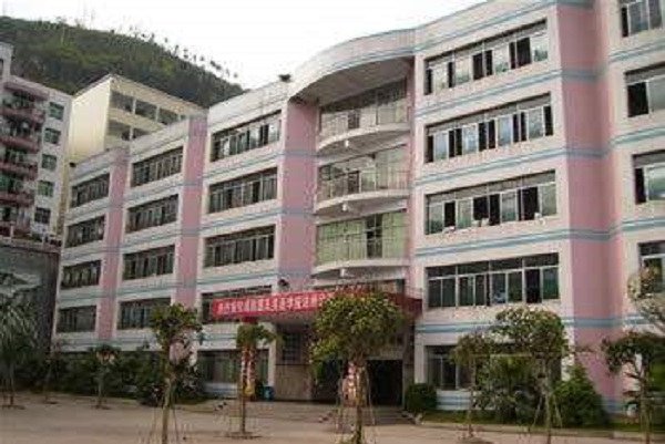 四川公立的幼师学院