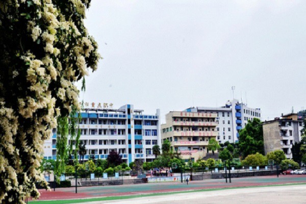 深圳读幼师学院好么