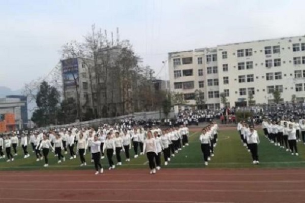 陕西交通职业学院官网(陕西交通职业学院地址)