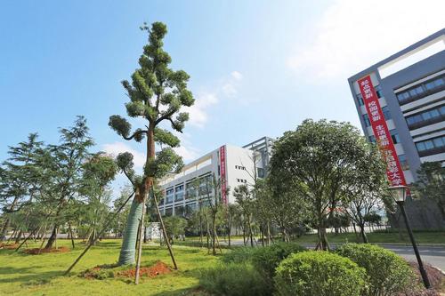 2022年成都汽修学校公立大学