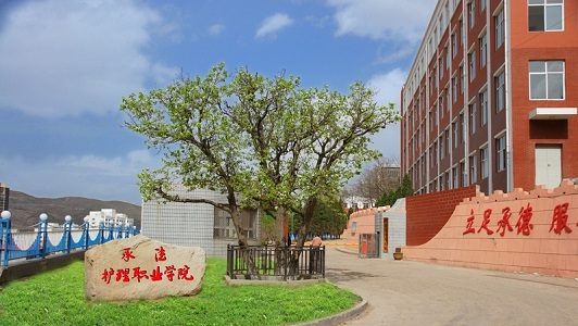 四川单招的学校有哪些学校(四川2022年单招学校名单)