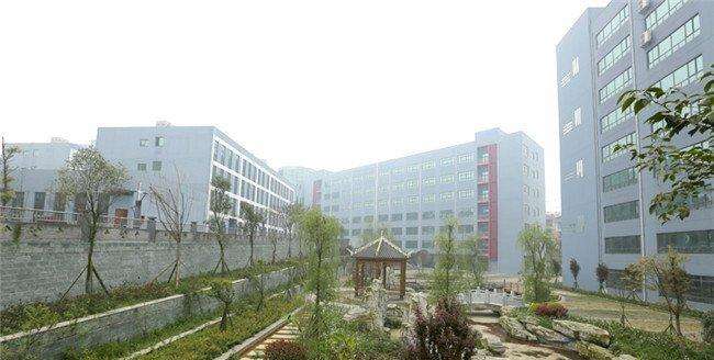 济南东方双语实验学校(济南东方双语学费多少)