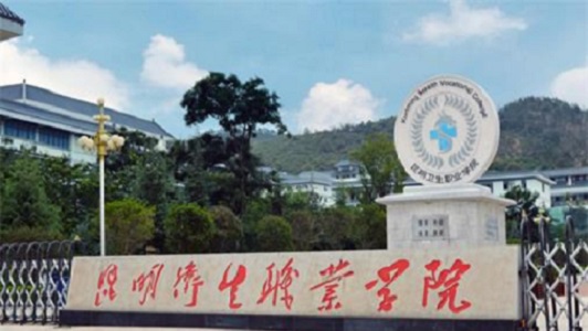 四川绵阳外贸电子学校网站