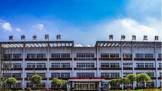 四川南充师范学校网站网址图3