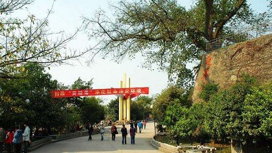 高中录取分数(2021年高考录取分数线)