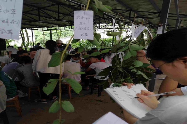 云南新兴职业学院(云南新兴学院死人事件)(图4)